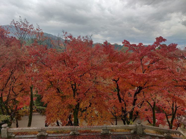 Autumn in Kyoto Autumn in Kyoto