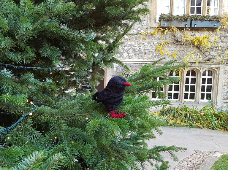 Chough in a Christmas tree A crochet chough in a Christmas tree in the Front Quad at St Edmund Hall