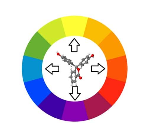 Colour wheel Adapted from colour wheel by Sakurambo