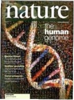 The human genome