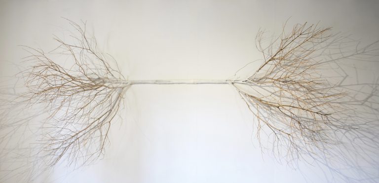 Rhizome - Cécile Beau - Le Parvis Centre d'Art Contemporain - 2016