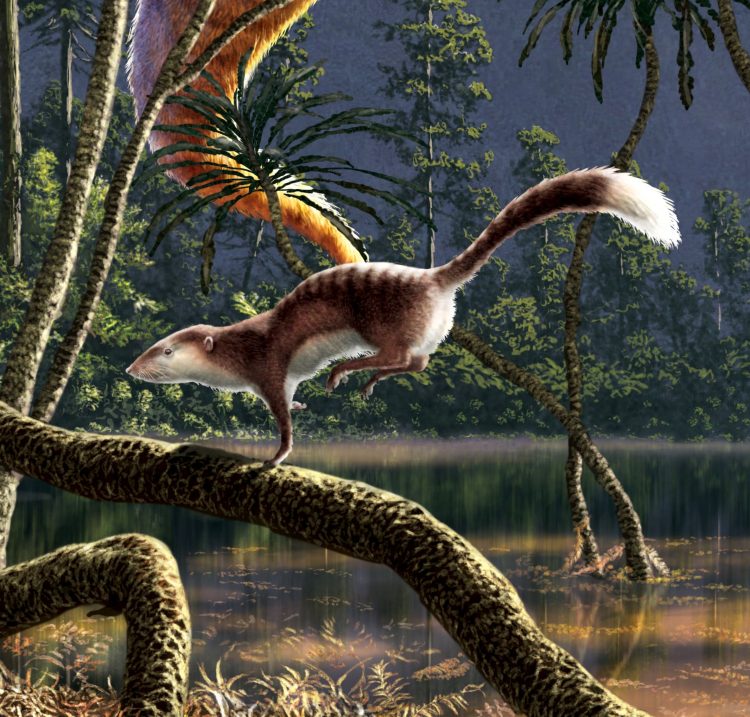 Roger Benson Dinosaur blog post mammal crop Roger Benson Dinosaur blog post mammal crop