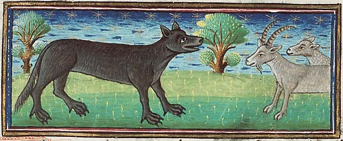 Wolf - Museum Meermanno, MMW, 10 B 25, Folio 14v Illustration of a wolf from Museum Meermanno, MMW, 10 B 25, Folio 14v
