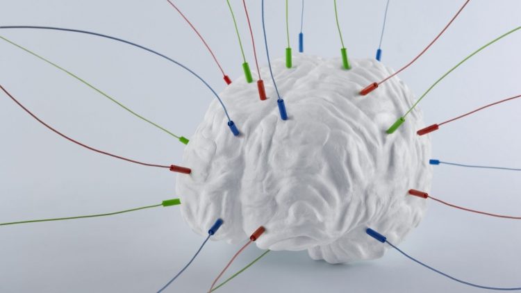 Rewiring the brain vosual Rewiring the Brain visual