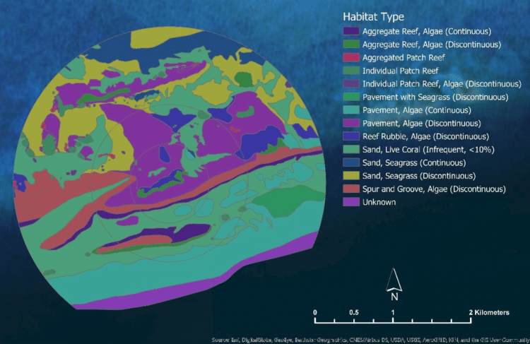 Emily Thwaites dissertation map A map of the different habitat types in the juvenlie reefs in Flordia Keys. Taken from Emily Thwaites's dissertation